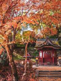 【奈良の談山神社】紅葉と歴史の絶景に感動間違いなし！