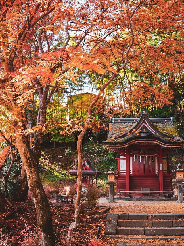 【奈良の談山神社】紅葉と歴史の絶景に感動間違いなし！