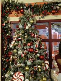 🎄Central World Merry Ville🌿✨