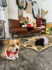 คาเฟ่ย่านนวมินทร์