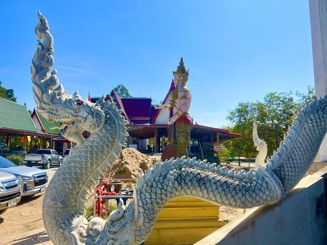 ขอพรพญานาคองค์ดำ แสนสิริจันทรา 