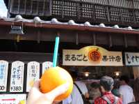 伊勢の風情と美食を堪能・おかげ横丁