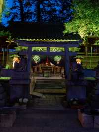 志を立て祈る神社 花手水もライトアップする滋賀県唯一の神社 12/14~1/12迄。⛩