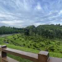 Breathe in the Beauty of Taman Saujana Hijau Putrajaya 