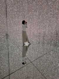 TeamLab Borderless