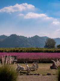 Audrey Hobby Farm - Khaoyai 🌸 เปิดให้เข้าชมแล้วนะ