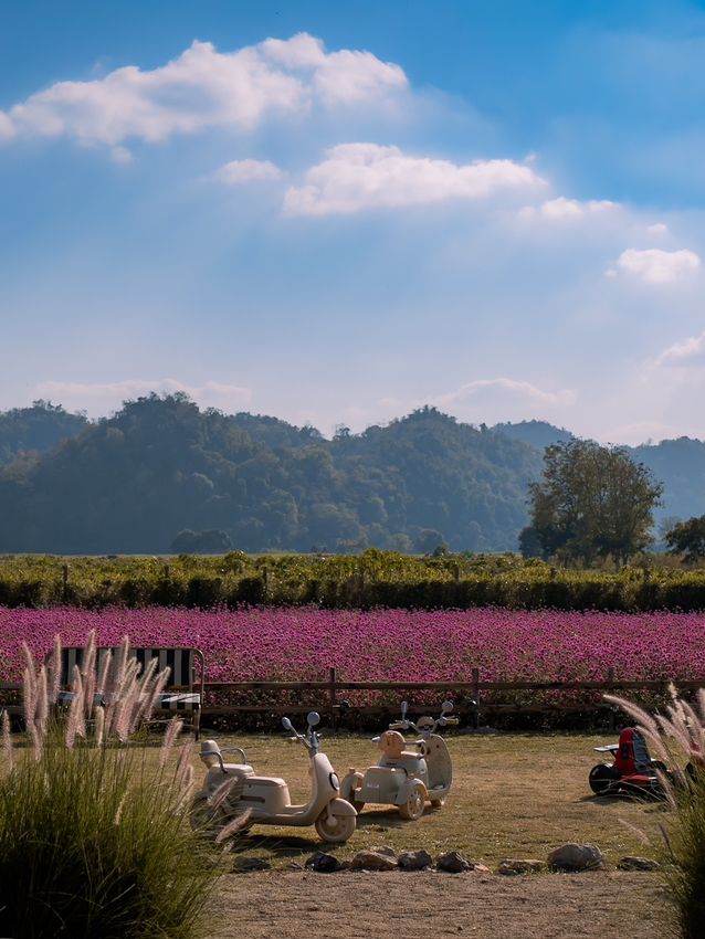 Audrey Hobby Farm - Khaoyai 🌸 เปิดให้เข้าชมแล้วนะ