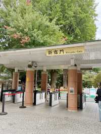 Shinjuku Gyoen National Garden สวนที่ควรมา