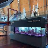 WA Maritime Museum พิพิธภัณฑ์แห่งการเดินเรือ