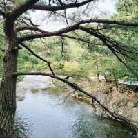The Chikso Falls 