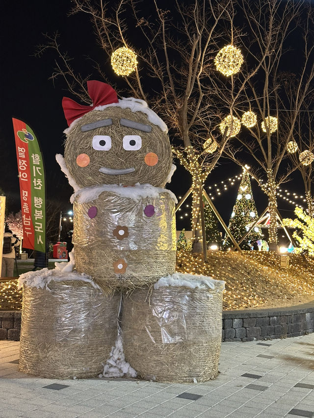 【韓国/大邱】夜景を見るならここ！2月末まではイルミネーション開催中✨