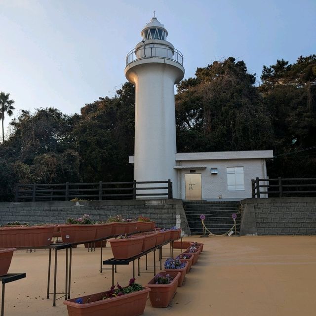 【ジェットスターで行く】高知ふらっと旅！