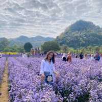 สวนดอกไม้ที่รอคอย🌻🌼🌺 ฮอกไกโด เขาใหญ่