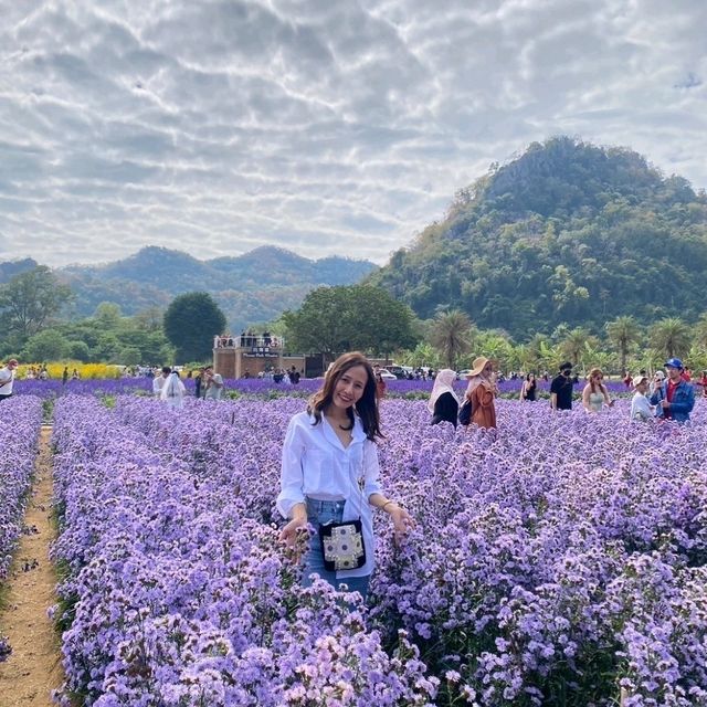 สวนดอกไม้ที่รอคอย🌻🌼🌺 ฮอกไกโด เขาใหญ่