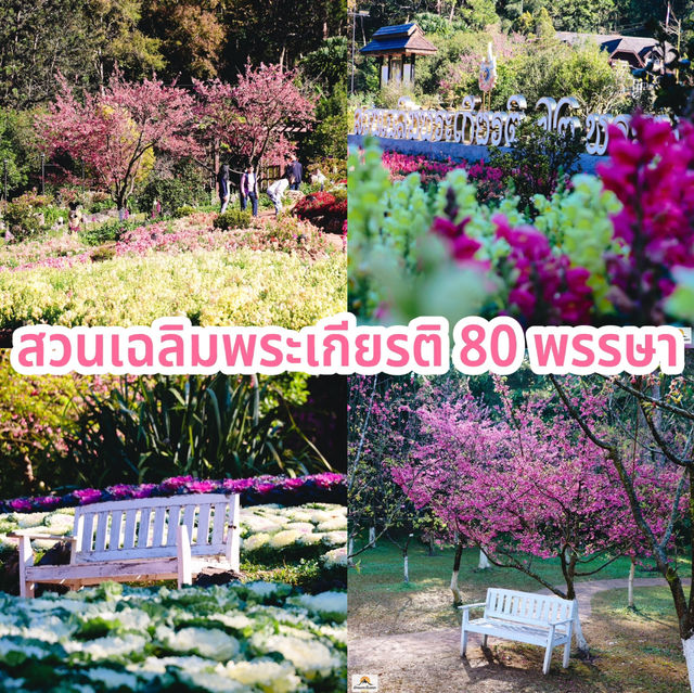 สวนเฉลิมพระเกียรติ 80 พรรษา