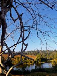 A Journey Through Nature’s Masterpiece: My Adventure at Khao Yai National Park