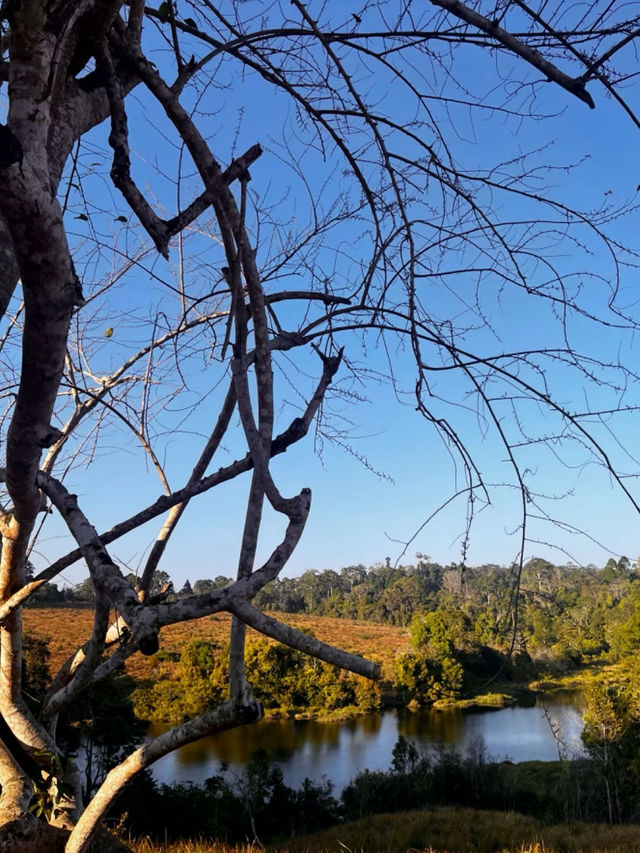 A Journey Through Nature’s Masterpiece: My Adventure at Khao Yai National Park