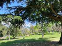 Flagstaff Gardens