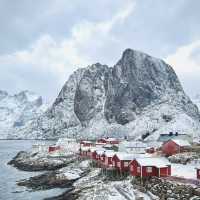 Lovely lofoten 