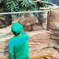 kobe animal kingdom สวนสัตว์ในร่ม แต่สัตว์เยอะมาก
