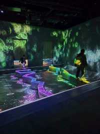 Teamlab Forest Fukuoka 🌳