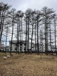 【御代田町🇯🇵】駐車場無料！遊具もあり広々遊べる公園⛲️