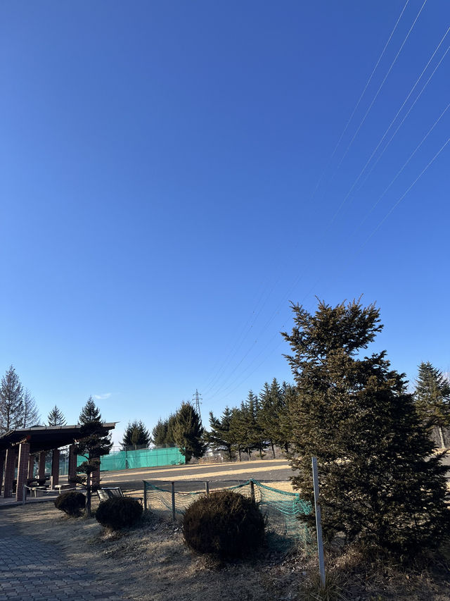 【小諸市🇯🇵】静かにゆったり過ごせるのんびり公園⛲️