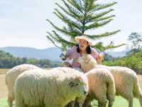 Stardoi Farm Khaoyai 