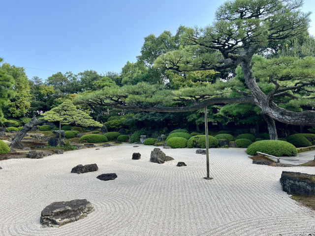 Lunch at Happo-en: A Perfect Day Out🌿
