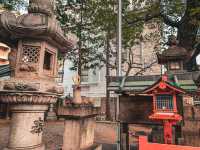【愛知】狛犬が鹿🦌珍しい連理木がある神社⛩️