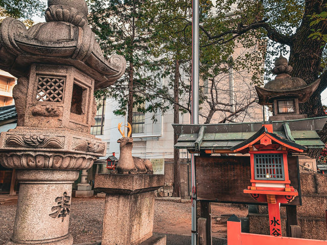 【愛知】狛犬が鹿🦌珍しい連理木がある神社⛩️
