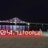 Moonlit Waves: The Enchantment of Gwangalli Beach Nights