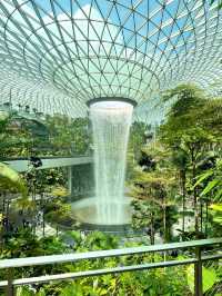 A Day at Jewel & Changi Airport: Solo Singaporean Off Day Itinerary