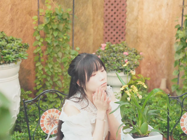 🌿🌞 探索霍士傑溫室的奇妙世界！