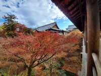 京都東福寺賞楓之旅：紅葉滿山，禪意悠然