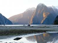 Milford Sound นิวซีแลนด์