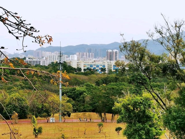 陌上花園浪漫花海