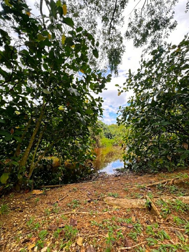 HIDDEN GEM IN CYBERJAYA.