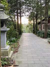 台北縱走第七段-櫻花山林茶鄉漫遊路線