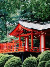 景點推薦：根津神社——東京近郊的千本鳥居與百年古韻