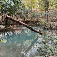 游览猜也奔府南普塔老（Nam Phut Thap Lao）天然泉眼瀑布 很多很出镜的地方