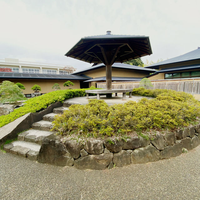 🌳都会の気軽に行ける盆栽庭⛲️