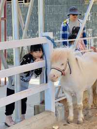 深圳野生動物園 深圳地鐵直達～零距離餵長頸鹿斑馬！ 