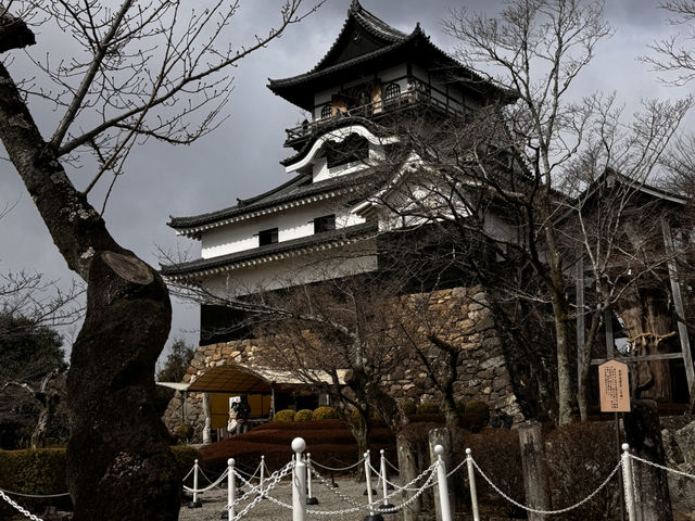 「名古屋6日全攻略！神社巡禮×水族館×古城美景，一次玩遍必去景點！」
