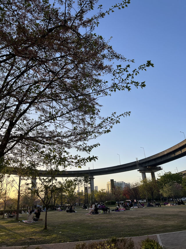 รีวิว Ttukseom Outlook Culture Complex (J-Bug) 🌉✨