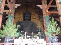 วัดโทไดจิ เเห่งเมืองนารา
