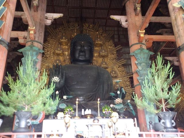 วัดโทไดจิ เเห่งเมืองนารา