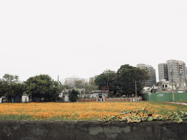 台中清水景點｜海灣繪本館：走進繪本的世界，夢幻的閱讀空間