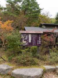 【大分県/由布市】アトピーにも効く！唯一無二の温泉！？