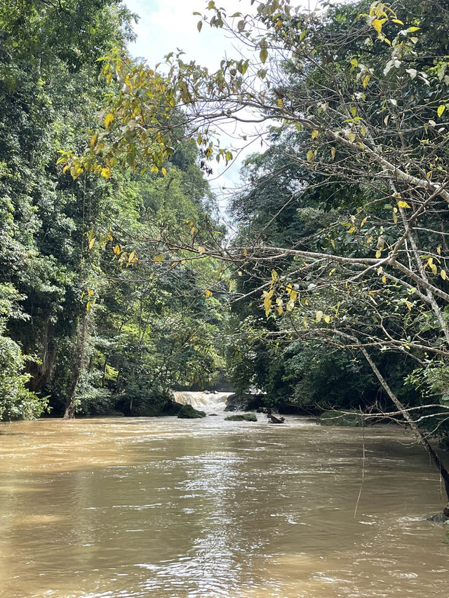 A Rainy Season Visit to Air Terjun Lokomboro: Worth It? 🌧️💦